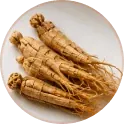 Panax ginseng extract in Horsefil men's vitality gummies